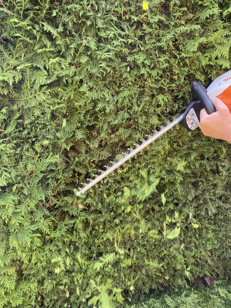 Stihl HSA 50 Akku-Heckenschere Thuja schneiden 3