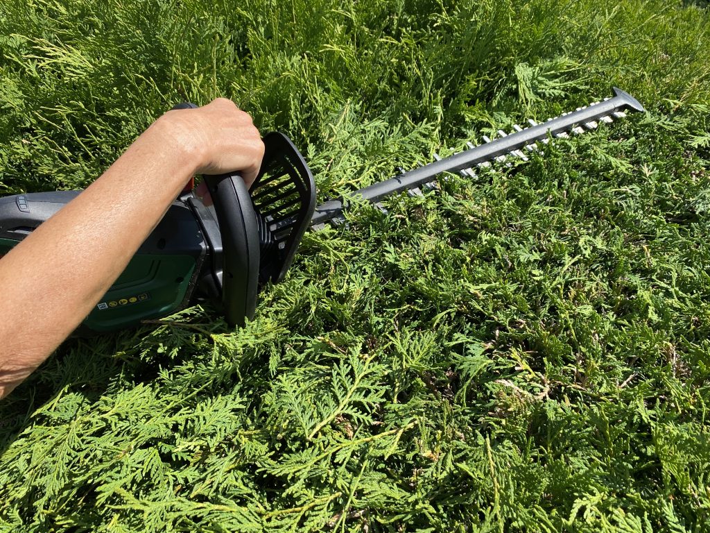 Bosch Universal Hedge Cut 18-55 Akku-Heckenschere Thuja schneiden 4
