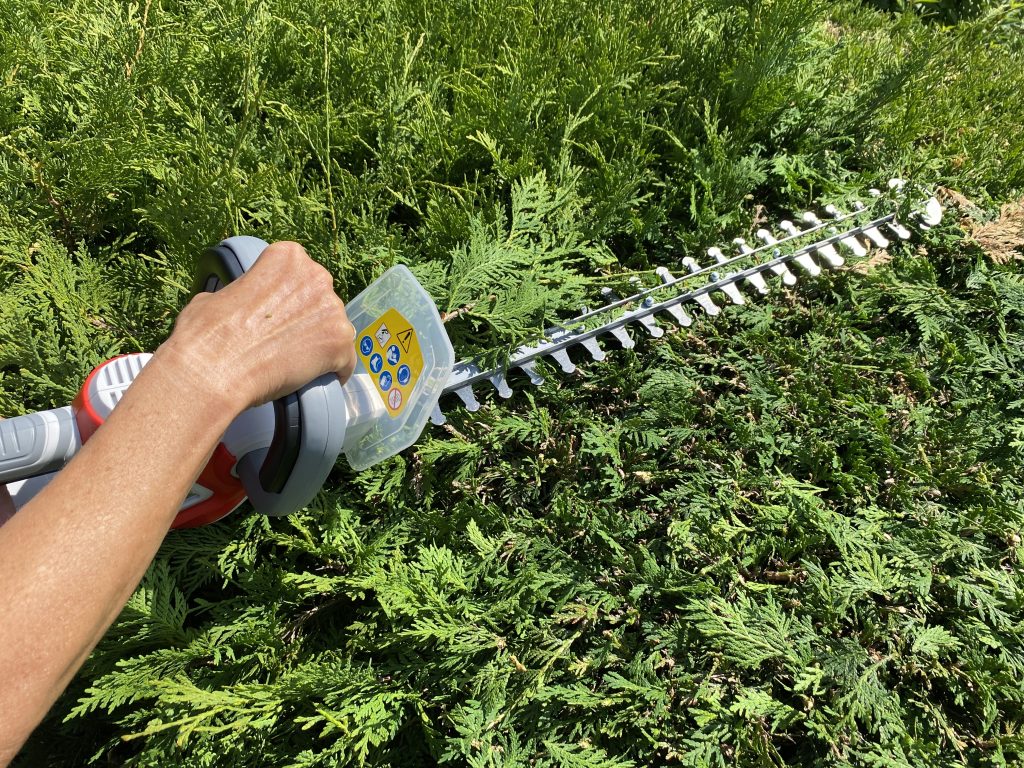 IKRA IAHS 20-1 Akku-Heckenschere Thuja schneiden 4