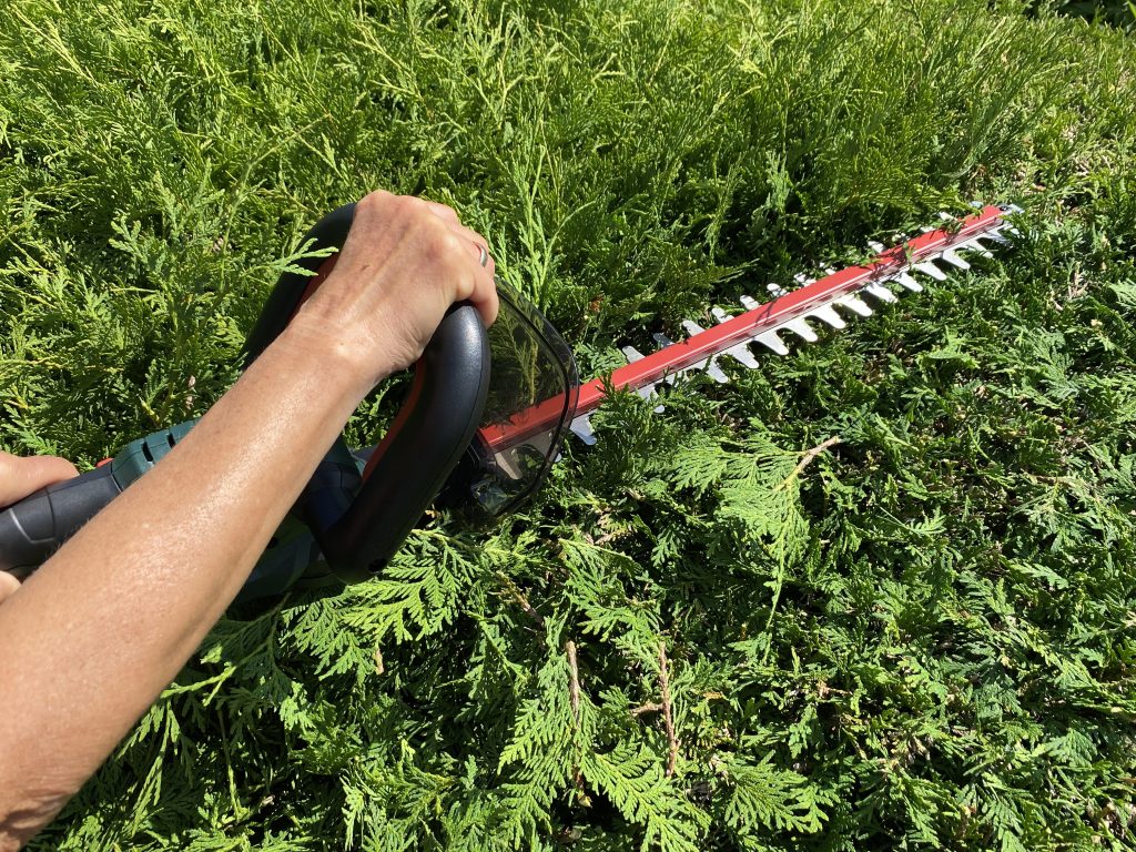 Metabo HS 18 LTX 55 Akku-Heckenschere Thuja schneiden 4