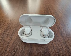 1More EVO In-Ear-Bluetooth-Kopfhörer in Ladeschale