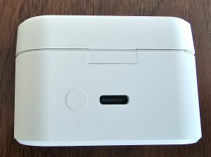 1More PistonBuds Pro Ladecase