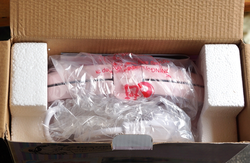 Bestron ASW401P im Karton