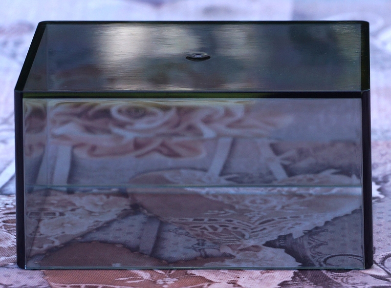 DeLonghi KG 89 transparenter Deckel