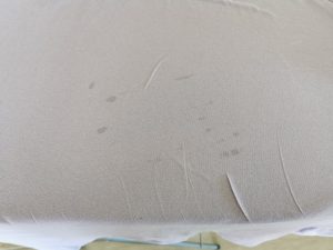 Tefal EasyGliss Plus Bügeleisen Wasserflecken