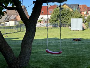 Worx Vision M600 Mähroboter aus der Distanz