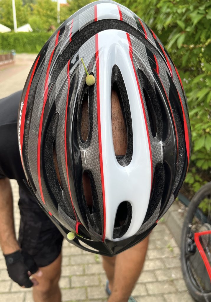 Dunlop HB13 Fahrradhelm – Blick von oben