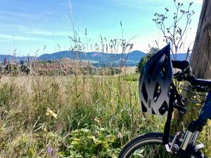 uvex i-vo cc MIPS Fahrradhelm während einer Testfahrt
