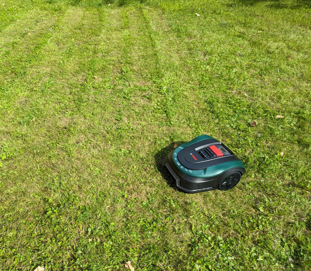 Bosch Home and Garden Indego XS 300 Mähroboter auf der Wiese erstes Foto