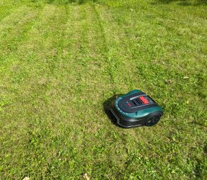 Bosch Home and Garden Indego XS 300 Mähroboter auf der Wiese erstes Foto