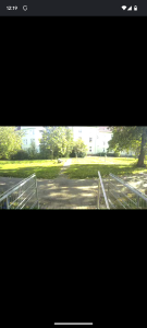 Netatmo Presence Überwachungskamera Screenhot am Tag