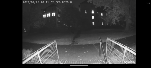 D-Link DCS 8620L Überwachungskamera Nachtsicht Schwarzweiß