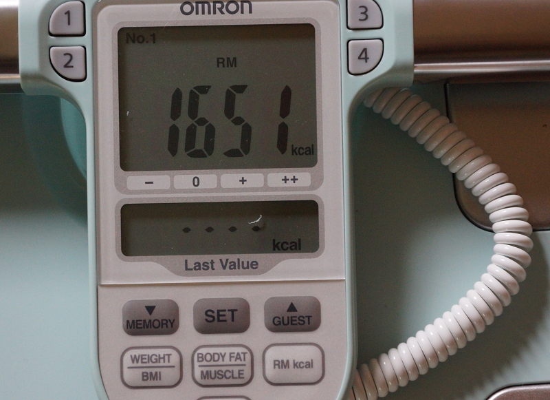Omron BF511 Einzelwert BMR