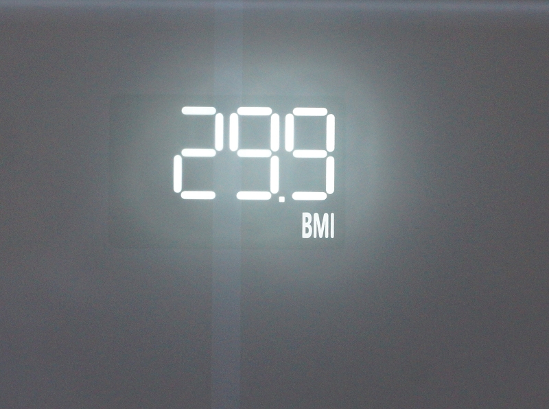 RENPHO WLAN-Smart-Waage Test Anzeige BMI