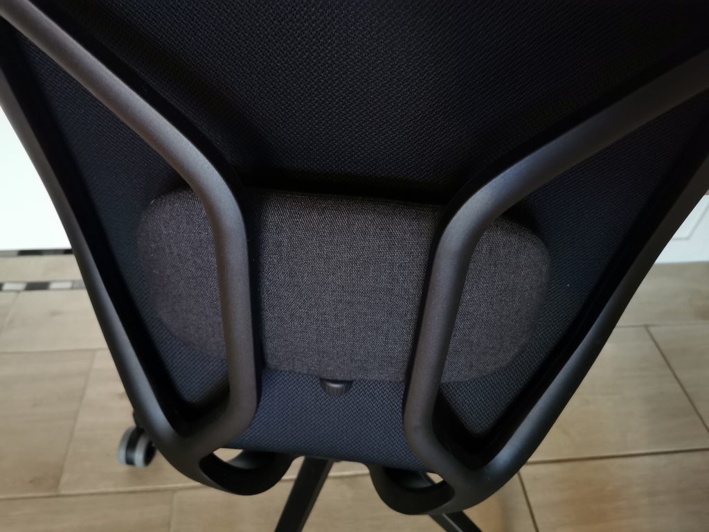 Ergotopia MasterBack Pro Bürostuhl Lordosekissen