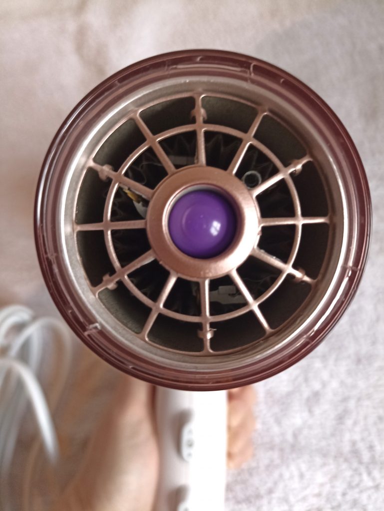 Philips DryCare Prestige HP8280 00 Haartrockner, Blick ins Gebläse