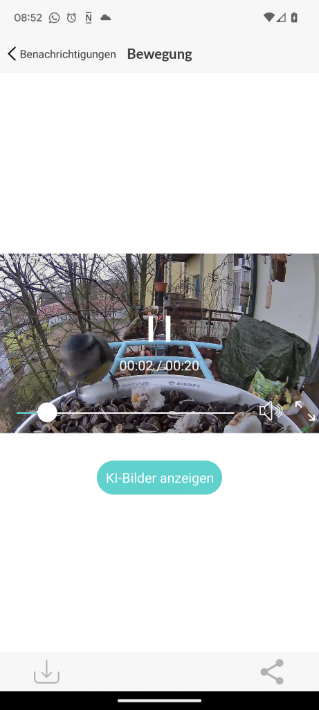 App der NETVUE Birdfy Wildkamera, Vorschau der Live-Ansicht