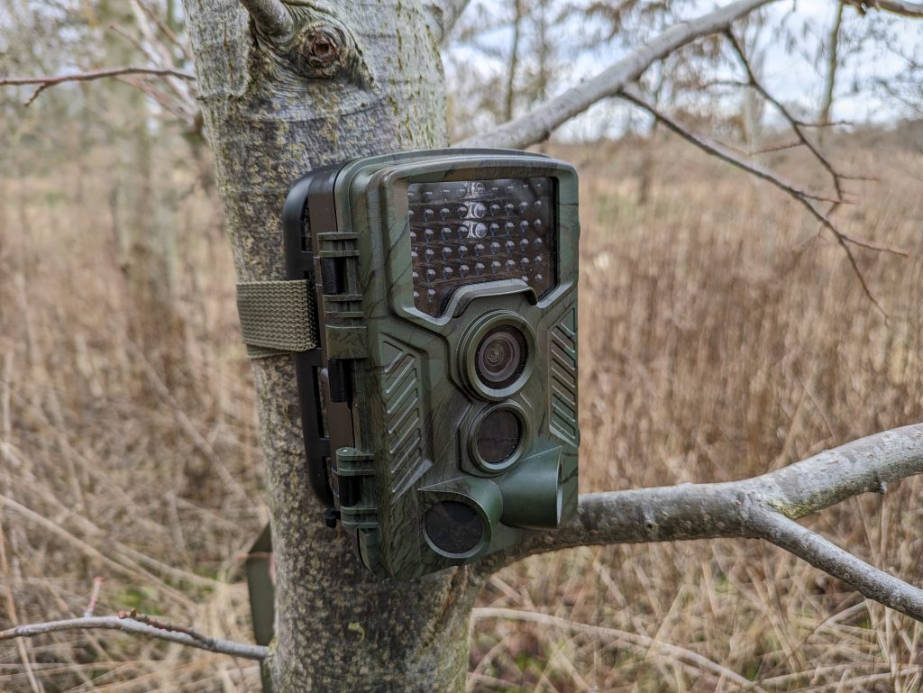 Coolife H881 Wildkamera an einem Baum befestigt