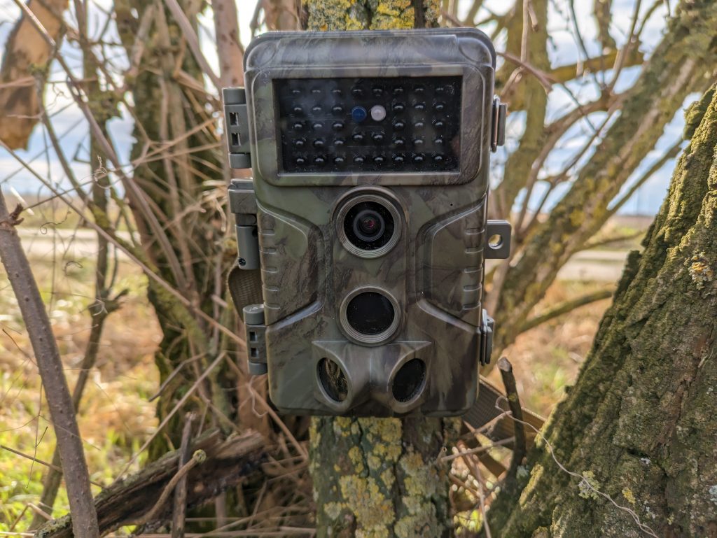 Die 8 besten Wildkameras im Test inklusive Testsieger [jahr]