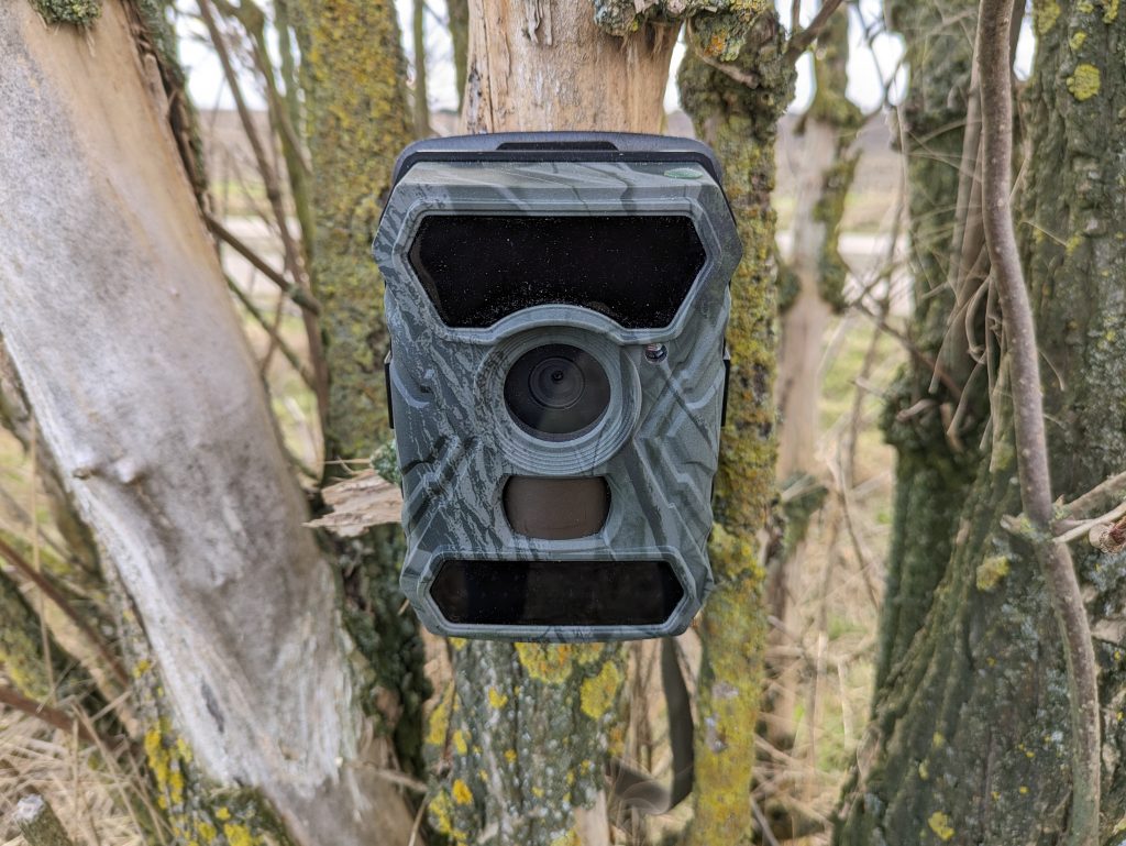 SECACAM Raptor Wildkamera an einem Baum montiert