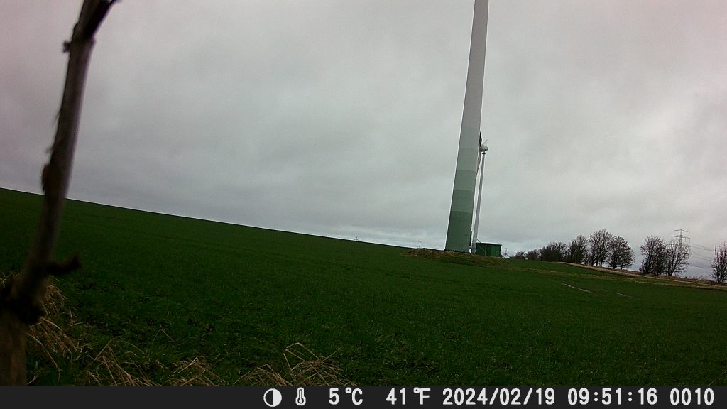 Tagaufnahme-der-Coolife-PH700A-Wildkamera