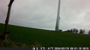 Tagaufnahme-der-Coolife-PH700A-Wildkamera