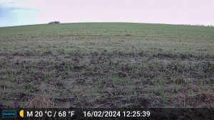 Tagaufnahme der GardePro A3S Wildkamera