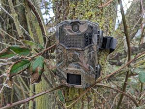iZEEKER iG200 Wildkamera an einem Baum befestigt