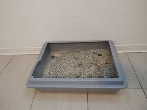 Biokats-Diamond-Care-Classic-Katzenstreu-nach-der-Benutzung