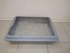 Biokats-Diamond-Care-Classic-Katzenstreu-vor-der-Benutzung
