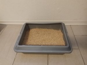 Cats-Best-Original-Katzenstreu-vor-der-Benutzung