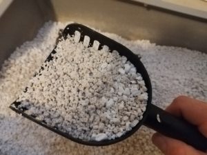 Catsan-Hygiene-Plus-Smart-Pack-Katzenstreu-auf-der-Schaufel