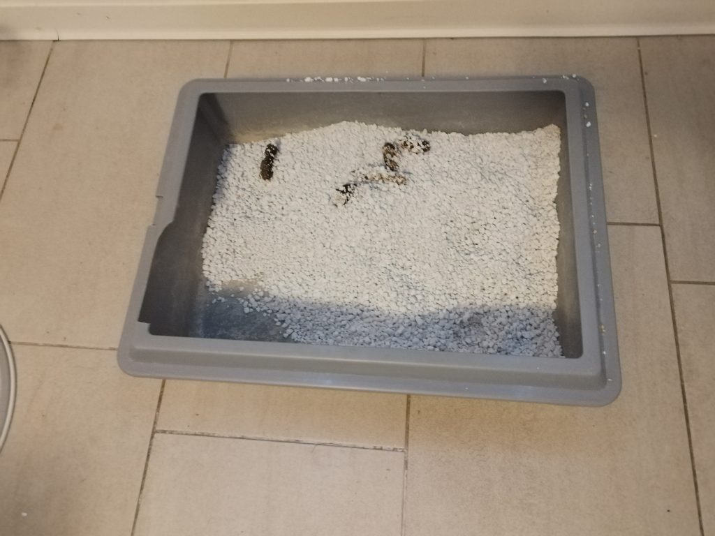 Catsan-Hygiene-Plus-Smart-Pack-Katzenstreu-nach-der-Benutzung