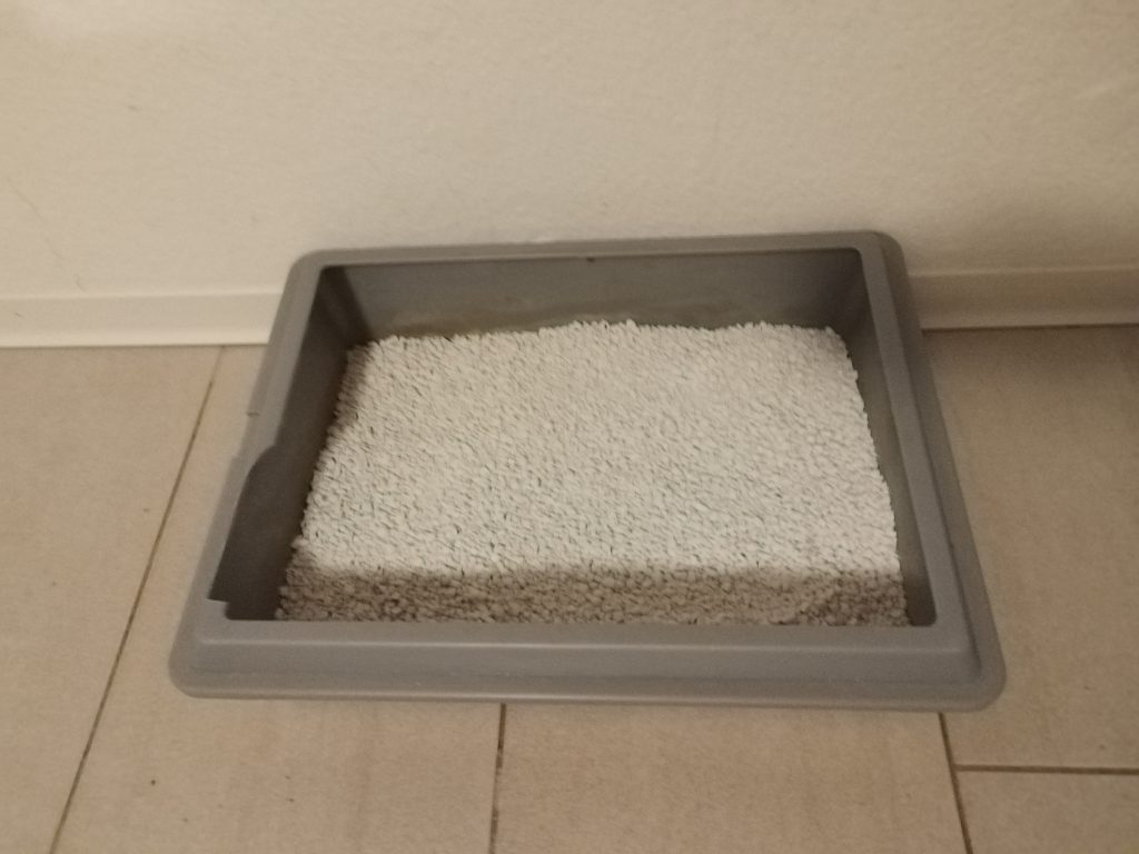 Catsan-Hygiene-Plus-Smart-Pack-Katzenstreu-vor-der-Benutzung
