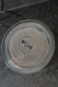 DREAMOON-Milchaufschäumer Zubereitung von Kakao Detail