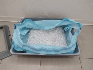 Einlegepack-des-Catsan-Hygiene-Plus-Smart-Pack-Katzenstreu-geoeffnet-im-Katzenklo