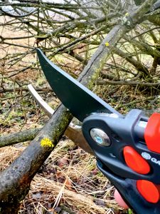 GARDENA B/S-XL 8905 Gartenschere beim Schneiden