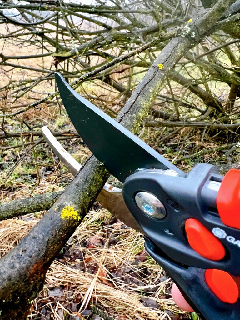 GARDENA B/S-XL 8905 Gartenschere beim Schneiden