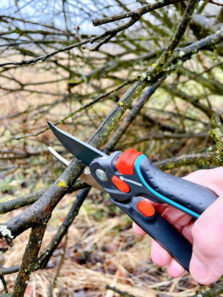 GARDENA B/S-XL 8905 Gartenschere beim Schneiden