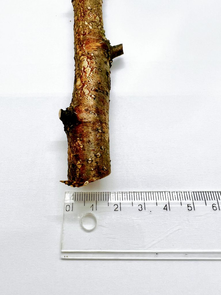Schnittgut Durchmesser