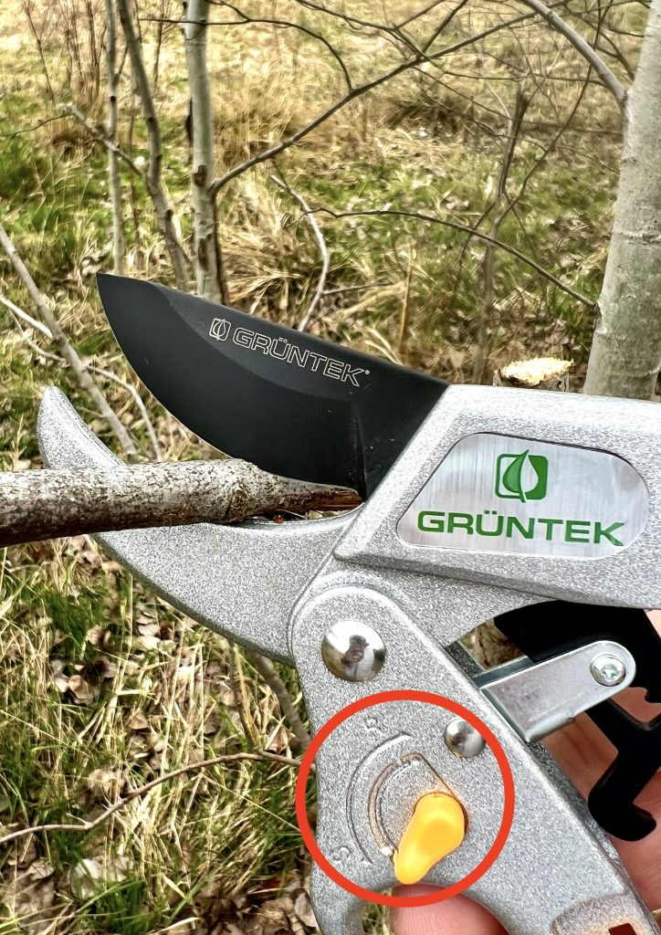 GRÜNTEK Kakadu Gartenschere mit Ratschefunktion