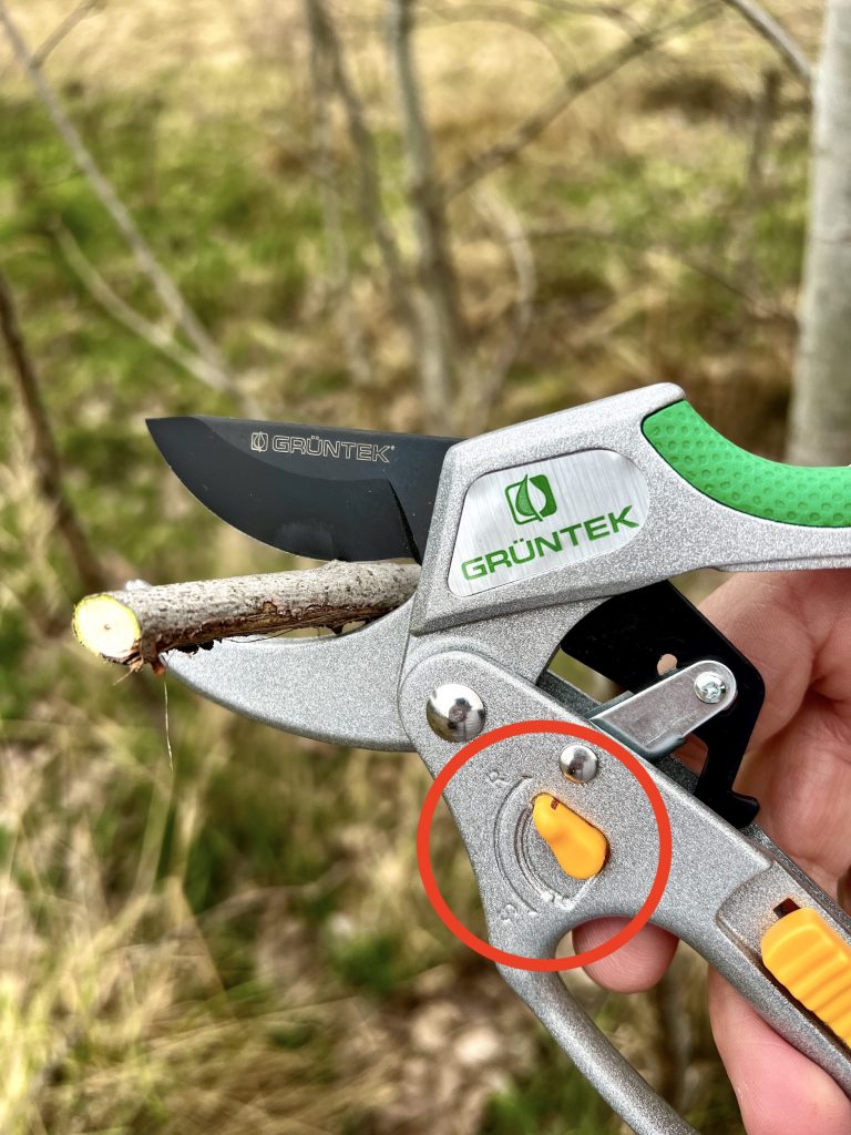 GRÜNTEK Kakadu Gartenschere ohne Ratschefunktion