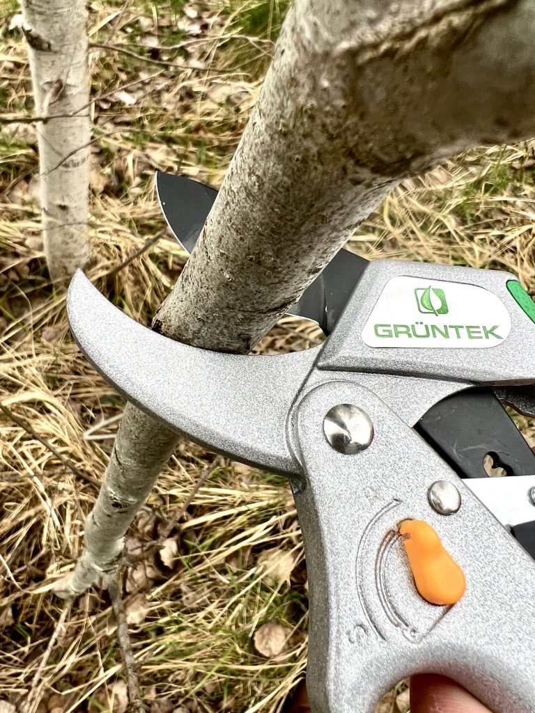 GRÜNTEK Kakadu Gartenschere Schneiden mit Ratschefunktion