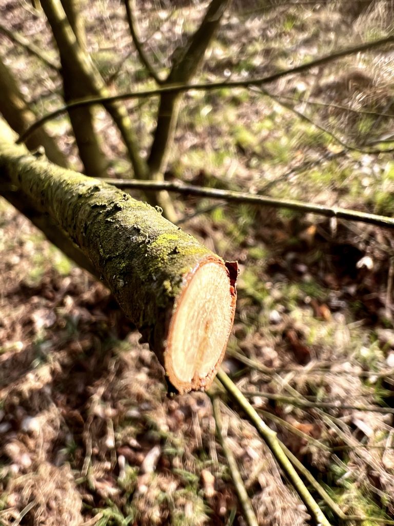 Sauberer Schnitt nach dem Schneiden