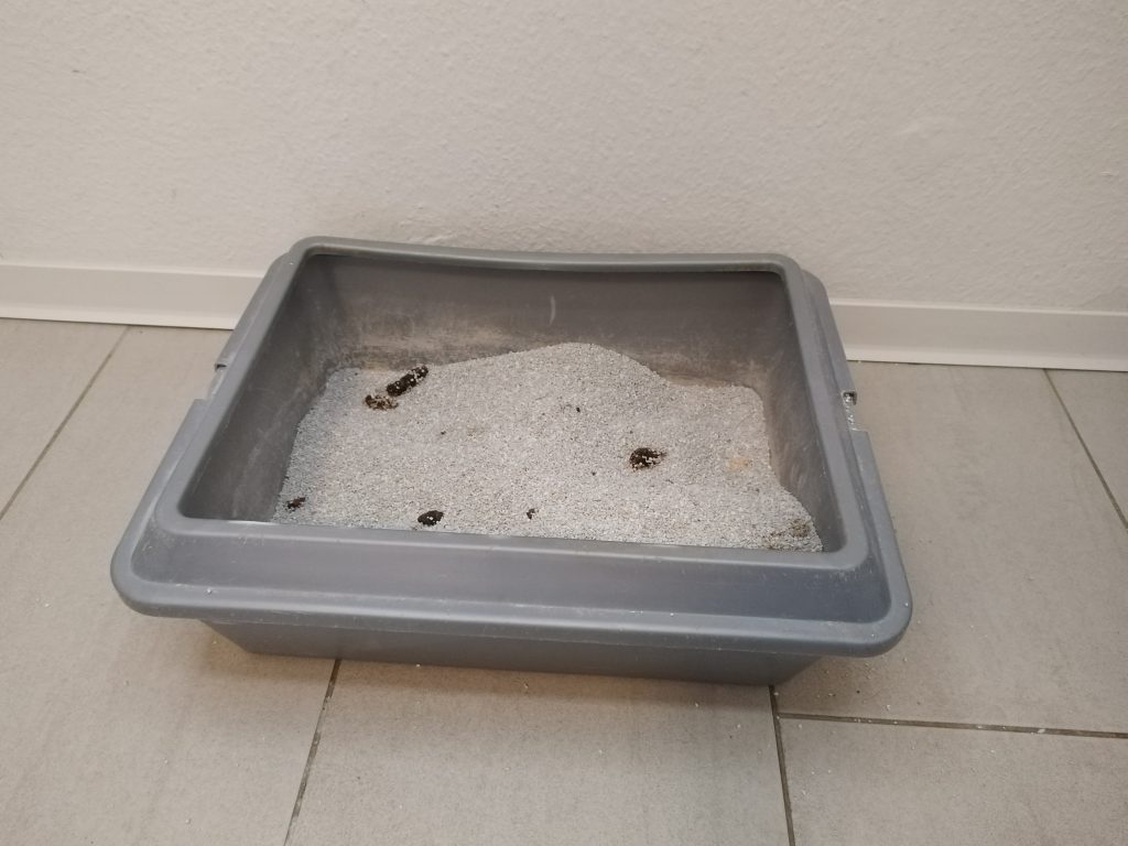 Lyra-Pet-Power-Ultra-Katzenstreu-nach-der-Benutzung