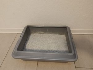 Lyra-Pet-Power-Ultra-Katzenstreu-vor-der-Benutzung