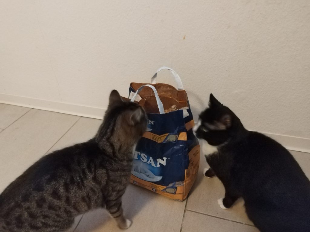 Verpackung-des-Catsan-Ultra-Plus-Katzenstreu-mit-Katzen