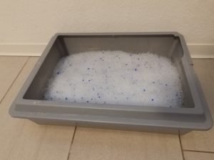 Vitakraft-Magic-Clean-Classic-Katzenstreu-vor-der-Benutzung
