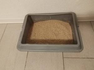 cosycat-Bio-Klumpstreu-Katzenstreu-vor-der-Benutzung
