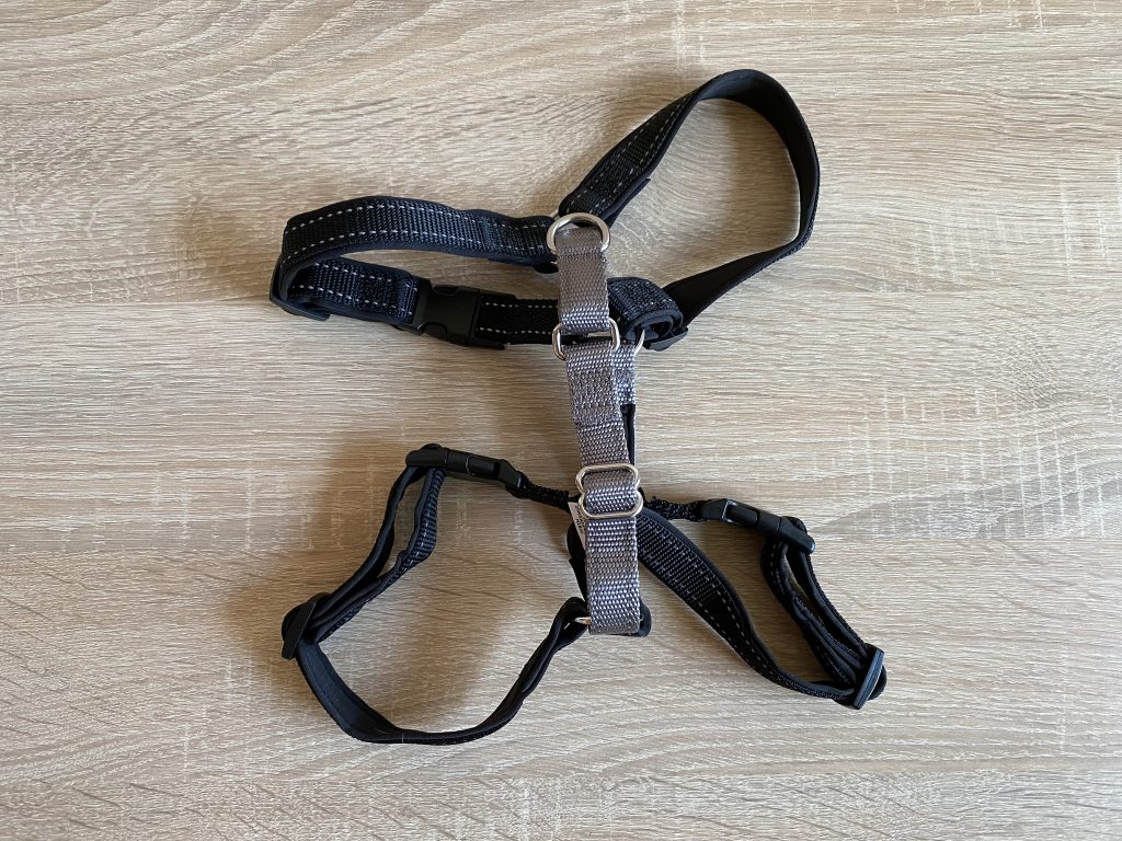 PetSafe 3-in-1 Hundegeschirr Unterseite